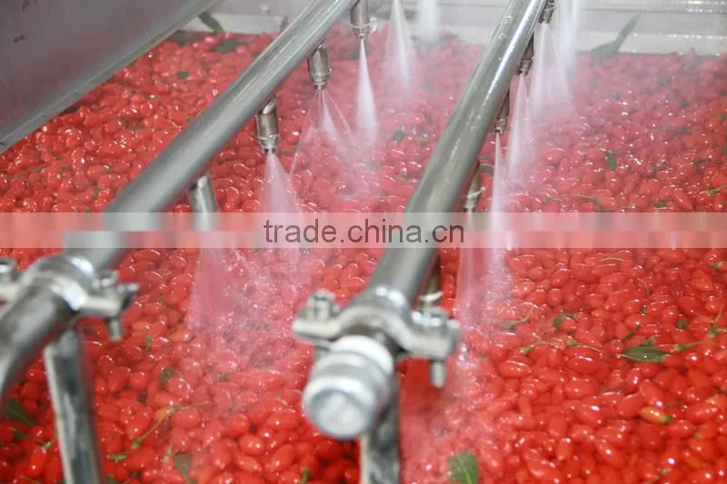 Certified USDA organic goji berries wholesaler