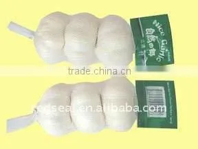 New crop fresh garlic(white skin,red skin,pure white)