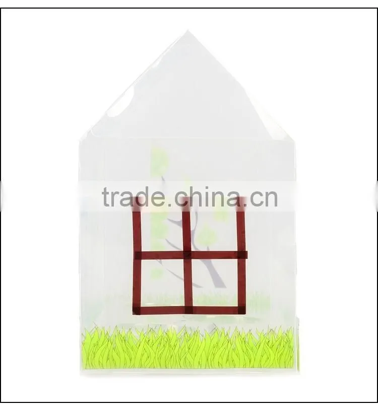 DIY Your Green House Kids Science
