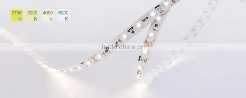 6 years golden supplier waterproof led neon strip IP68 24V led neon flex light