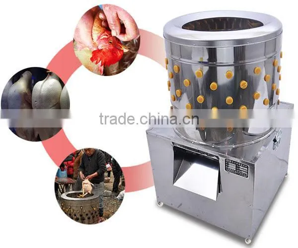 stainless steel chicken plucking machine /chicken plucker/poultry plucking machines