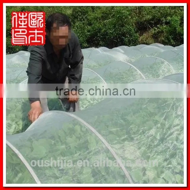 China Wire Mesh Town Anping fiberglass insect mesh screen for window