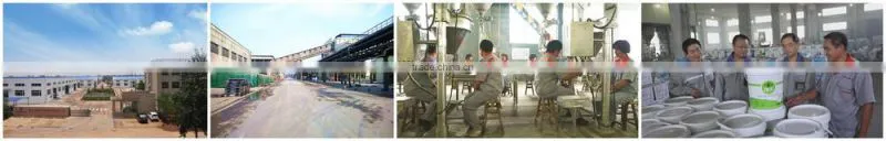 Aammonium Nitrate Phosphorus