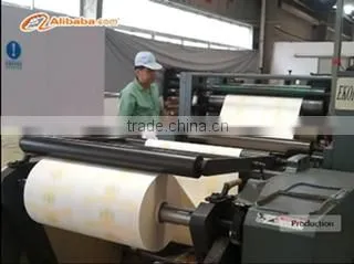 Nanning Paperjoy Paper Industry Co., Ltd. company overview - view 4