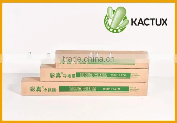 Cold lamination film for protection