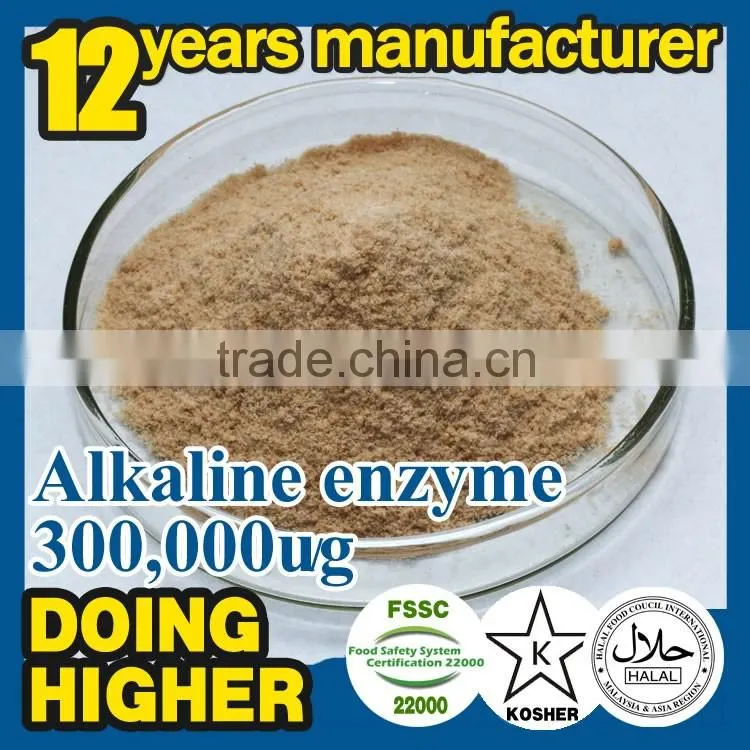 Alcalase enzyme apply to protein hydrolyzed