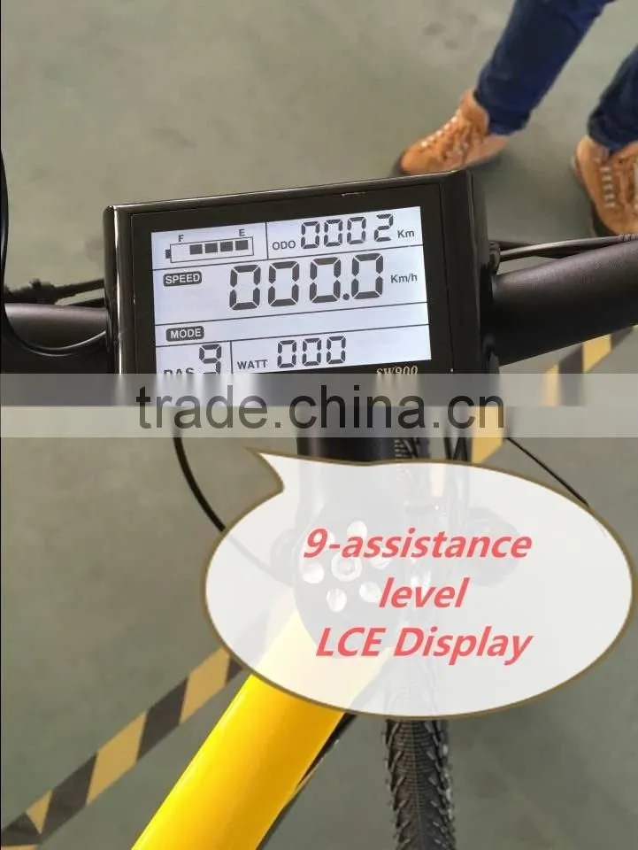 Easy control Electric bike with PAS and PEDALS
