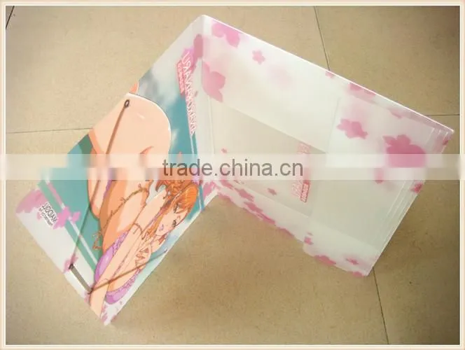 A4 plastic document wallet , travel document wallet