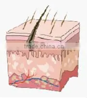powerful ipl skin care ance removal facial machines skin care