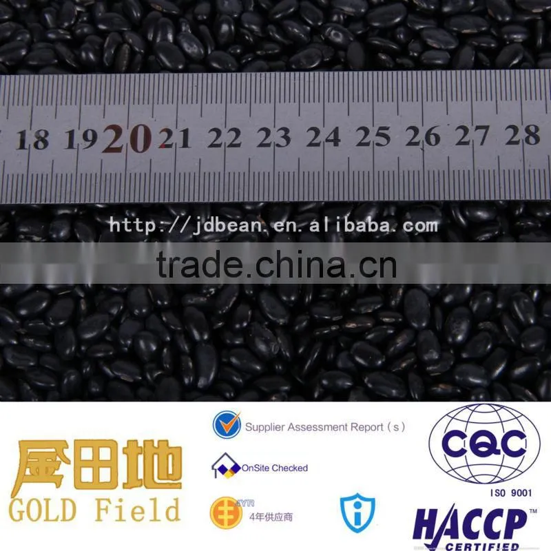 small black kidney bean /black bean price