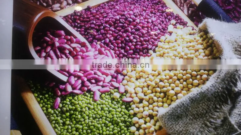 zhangjiakou Origin bitter apricot kernel for sale