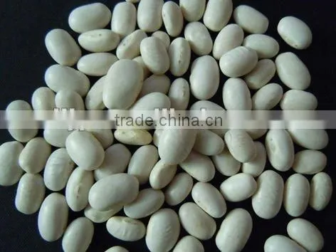 White Beans (factory)
