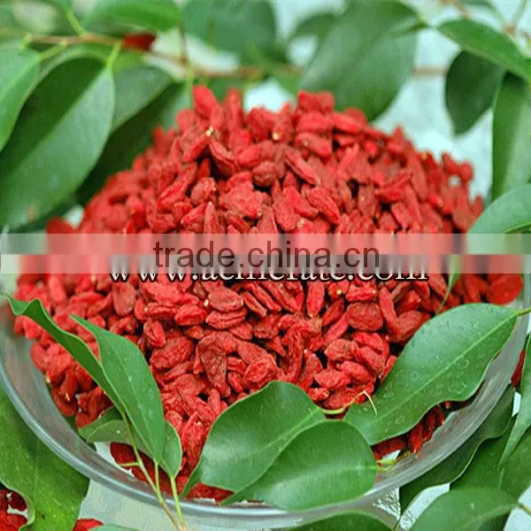 Red goji berry