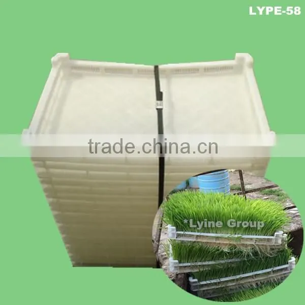barley wheat rice sprouting seed trays,nursery tray for sprout