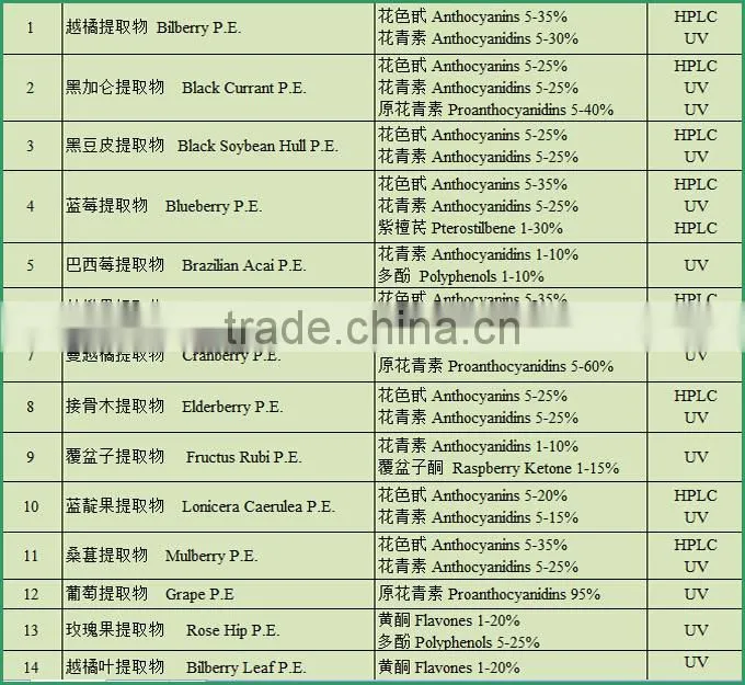 High-quality Green Tea Extract Camellia sinensis with Tea Polyphenols 98% and EGCG 80%