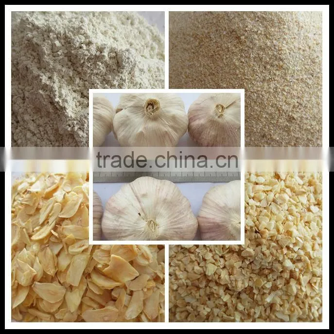 2013chinese fresh white garlic