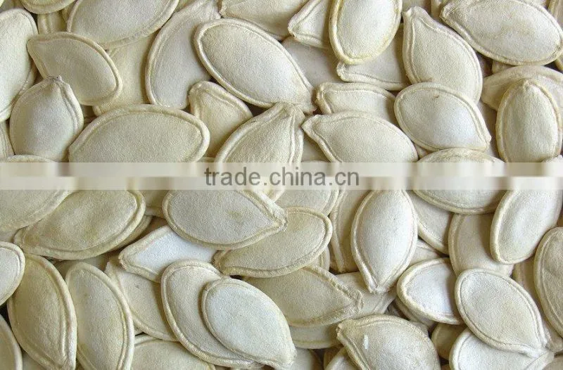 pumpkin seeds kernels