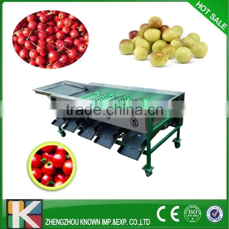 Garlic grading machine garlic grade potato sort machine