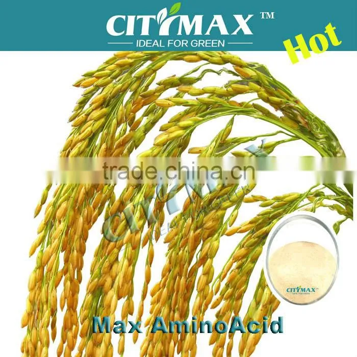 High Quality Complex Amino Acid Powder