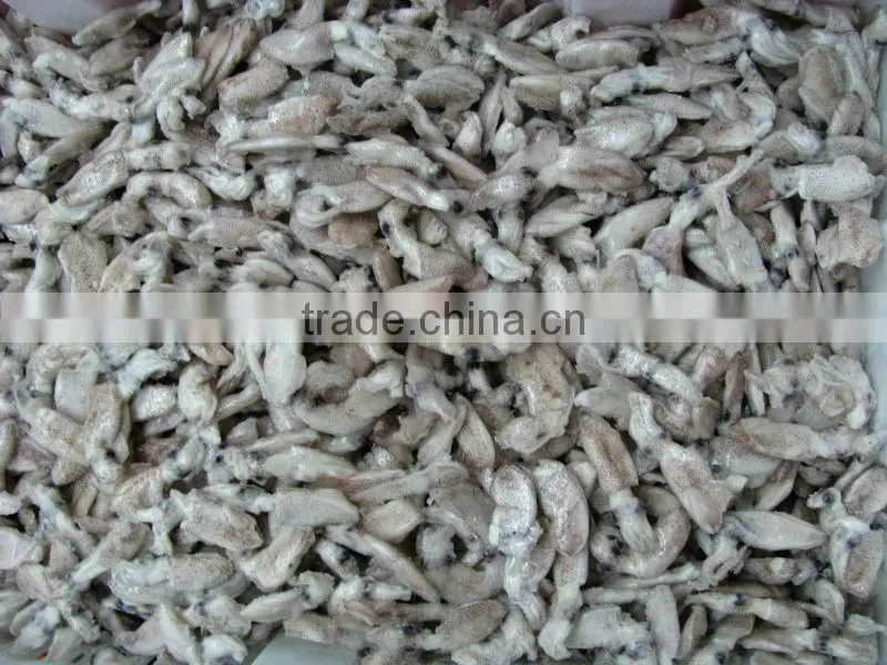 chinese frozen squid