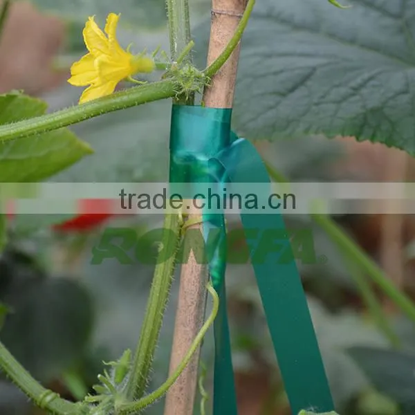 1" x 300ft garden use non-adhesive plastic grafting tape