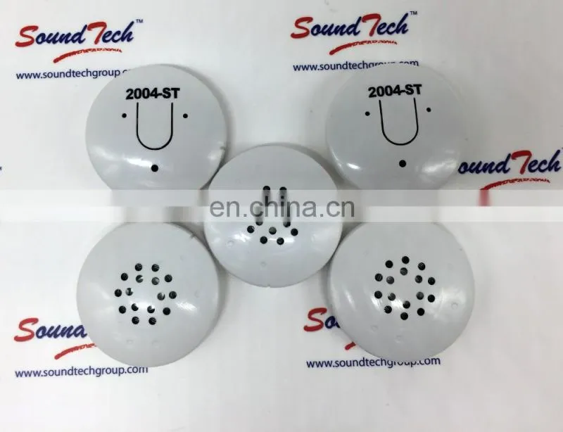 Press and hold recordable sound module with plastic housing