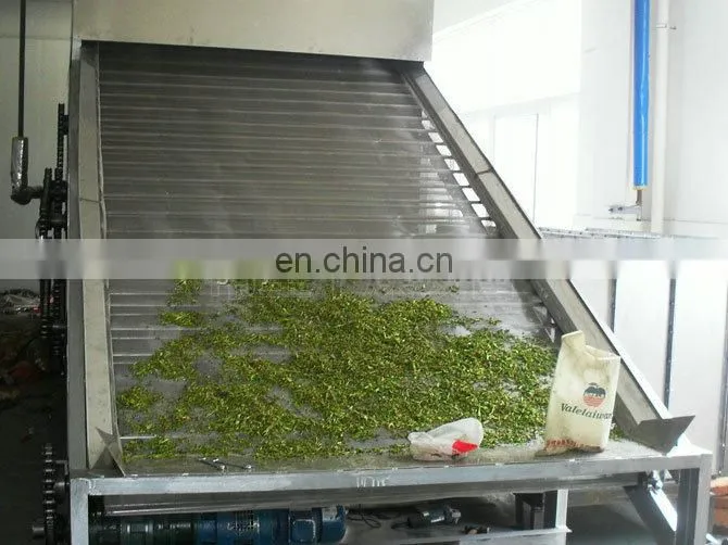 china small capacity chilli drying machine