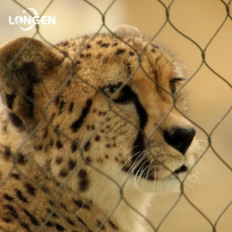 Leopard Fencing Net