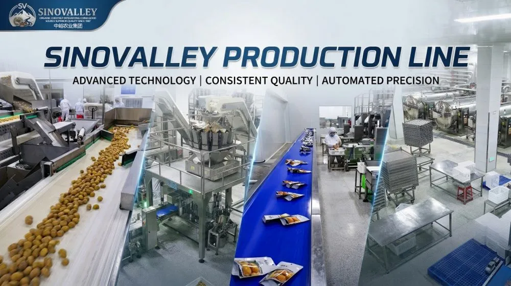 SinoValley Agro Group Chestnut 1.png.jpg