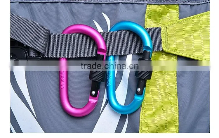 Carabiner KeyChain