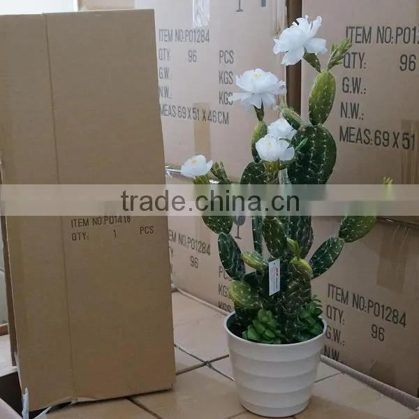 Summer Hanging Tropical Flower Plant
