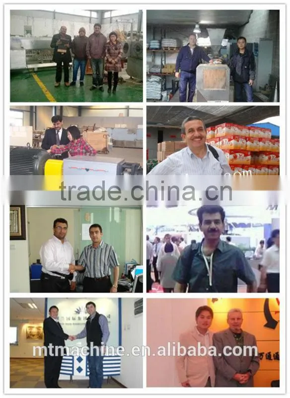 100-500kg/h for choosing snacks seasoning powder flavor machinery