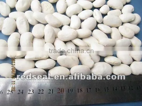 Yunnan Organic white kidney beans