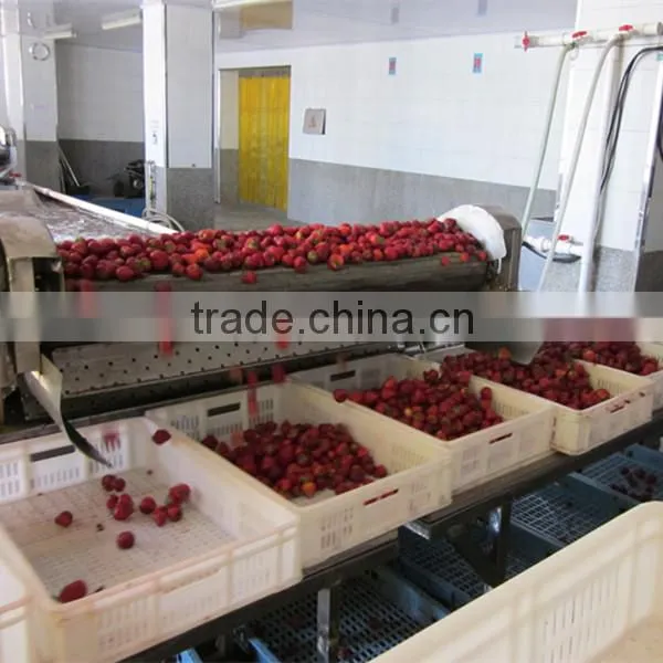 PE bag packing IQF frozen strawberry from Liaoning