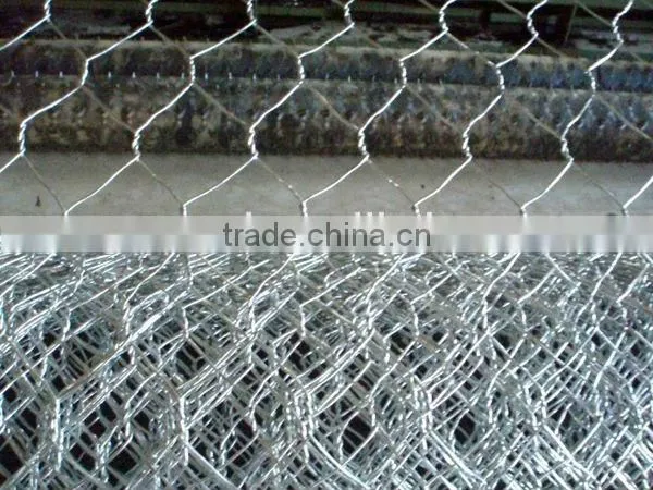hot sale prime hexagonal wire mesh/ chicken wire mesh with low price
