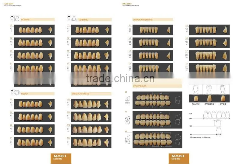 Dental material MAIST 32