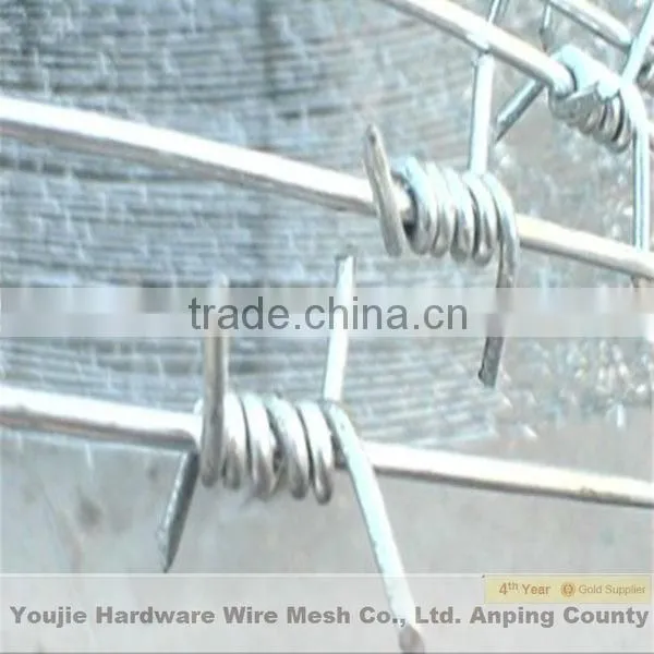 top sale concertina barbed wire fence (ISO 9001)