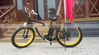 Dezhou Blueasian Imp & Exp Co., Ltd. company overview - view 2
