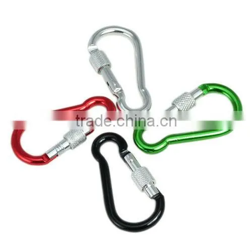 S.S. Carabiner Spring Hook with Eyelet and Screw 304/316