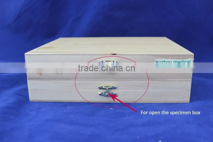 Microscope Slides 200pcs set