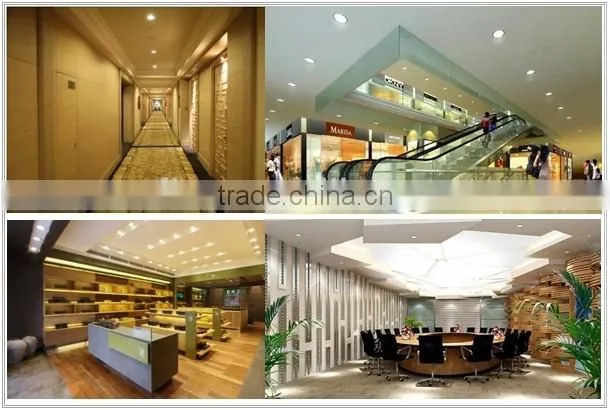 16W gimbal led downlight