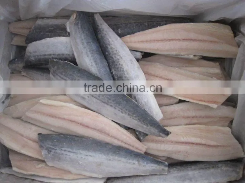 2016 hot sale newly Frozen Spanish mackerel fillet