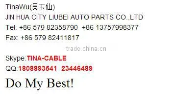 CHINA AUTO PARTS MANUFCTURE /HIGH QUALITY/REAR BRAKE DRUM FOR QIANLIMA