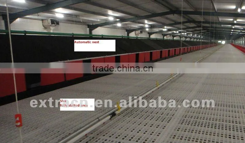 Plastic slat for poultry house