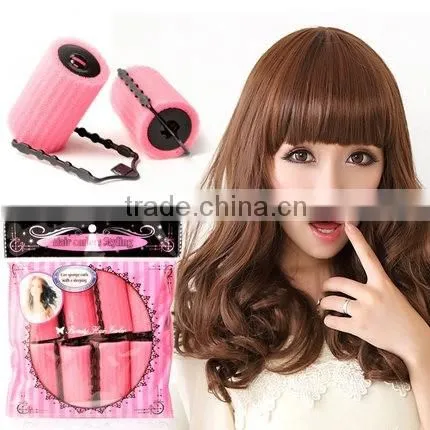 Plastic Hair Roller Hair Tools/nylon aster