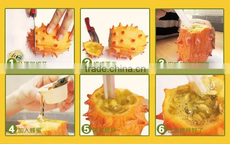 Hedged gourd Melano Kewana Cucumis metuliferus Seeds