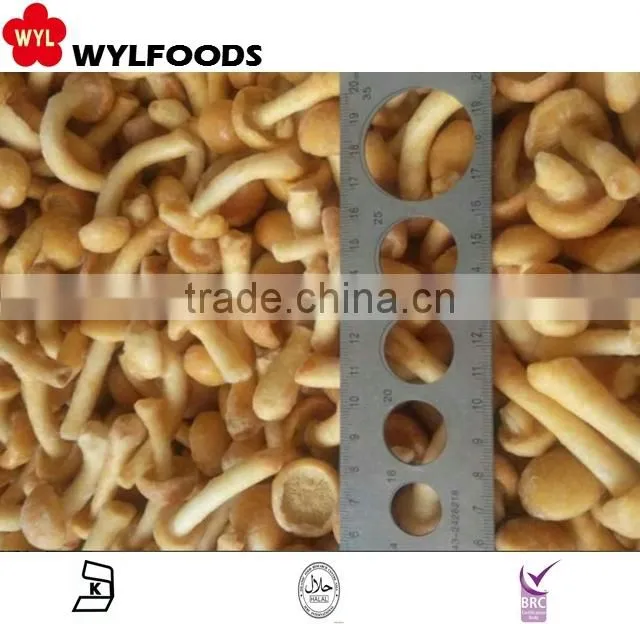 2015 new price frozen oyster mushrooms