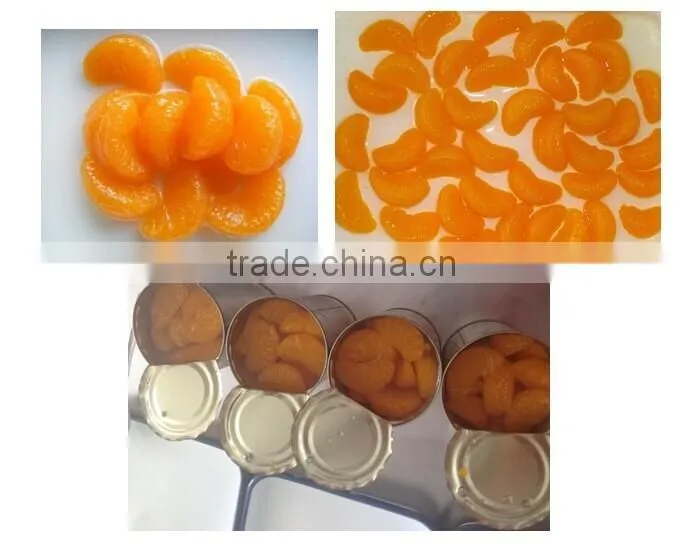 312g canned orange in hot sell