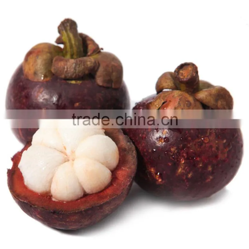 High Quality Kosher Certified HPLC 10%-98% Mangosteen Extract Supplier