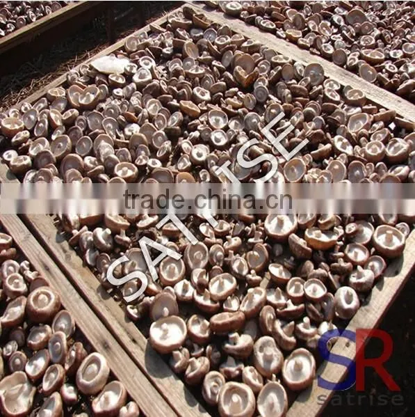 Best Selling Mushroom/pepper/nut drying machine Price